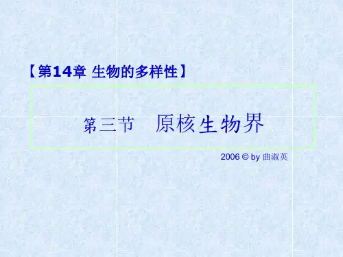 原核生物界初中生物课件