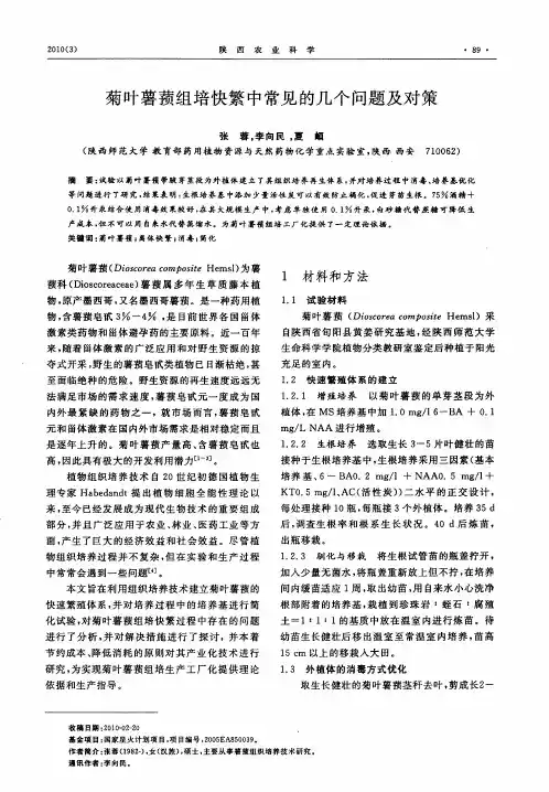 菊叶薯蓣组培快繁中常见的几个问题及对策