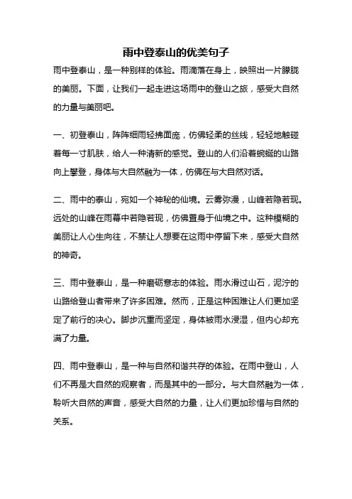 雨中登泰山的优美句子
