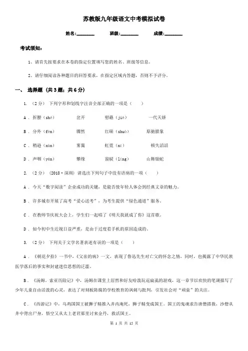 苏教版九年级语文中考模拟试卷(检测)