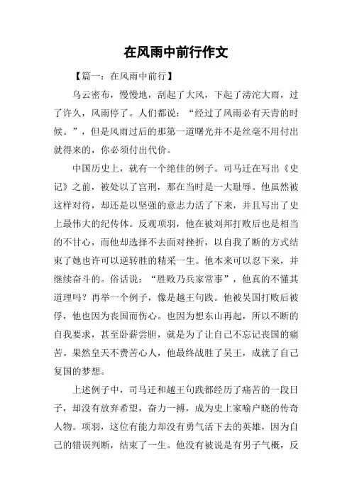 在风雨中前行作文