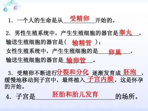 第三节__青春期课件