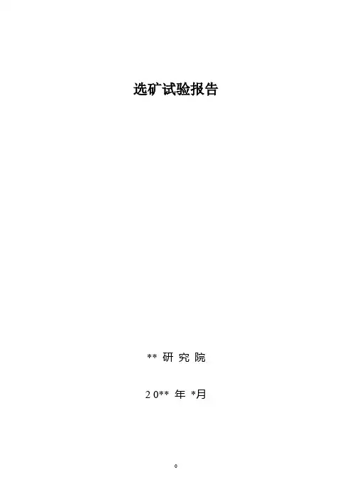 选矿试验报告..