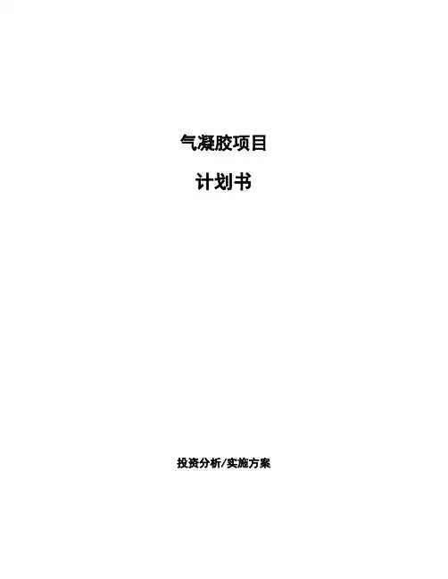 气凝胶项目计划书