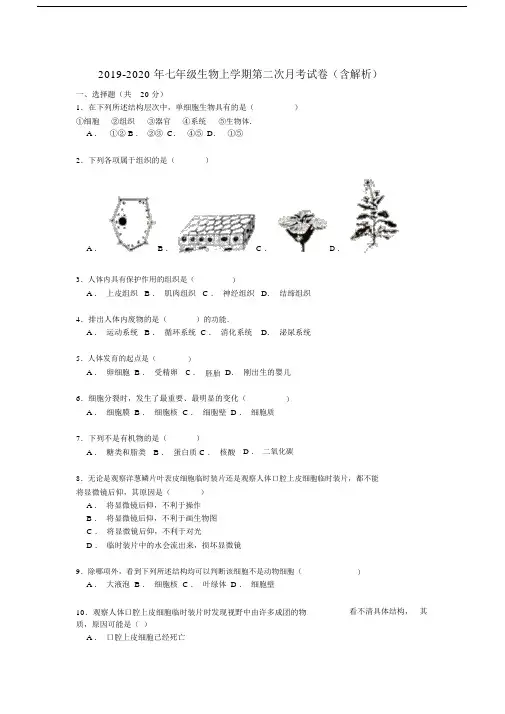 七年级生物上学期第二次月考试卷含解析.doc