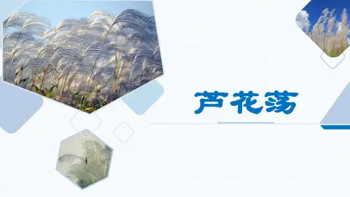 八年级上册人教版语文优质课《芦花荡》