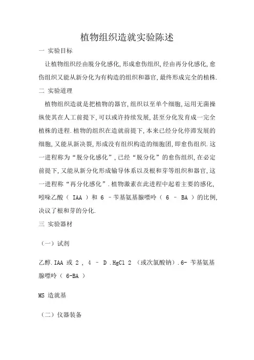 植物组织培养实验报告 2