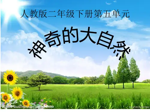 第五单元导读PPT课件