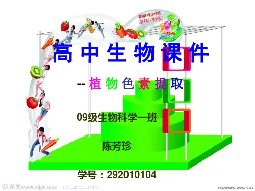 植物色素的提取