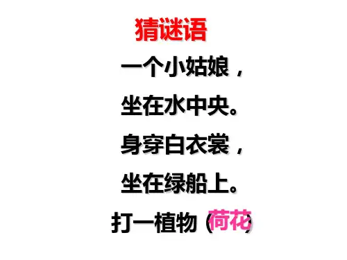 人教版三年级下3《荷花》
