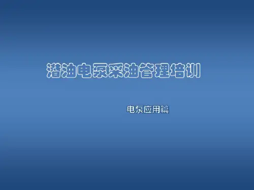 潜油电泵采油管理培训56页PPT