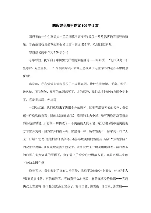 寒假游记高中作文800字5篇
