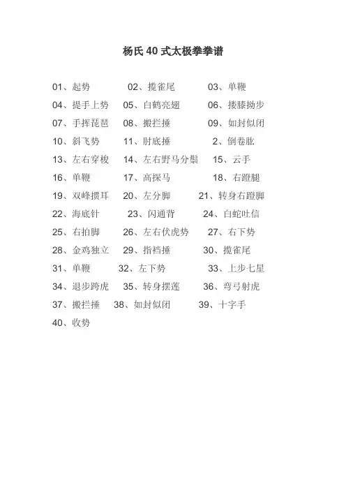 杨氏40式太极拳拳谱