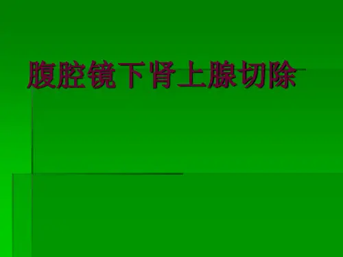 腹腔镜下肾上腺切除