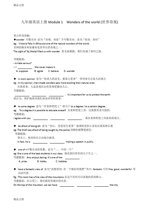 最新外研版九年级英语上册Module-1知识点归纳