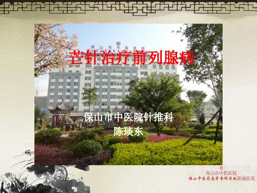 芒针治疗前列腺