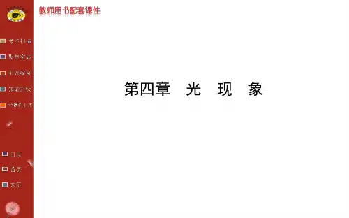 2014年新人教版物理中考复习专题 课件第四章