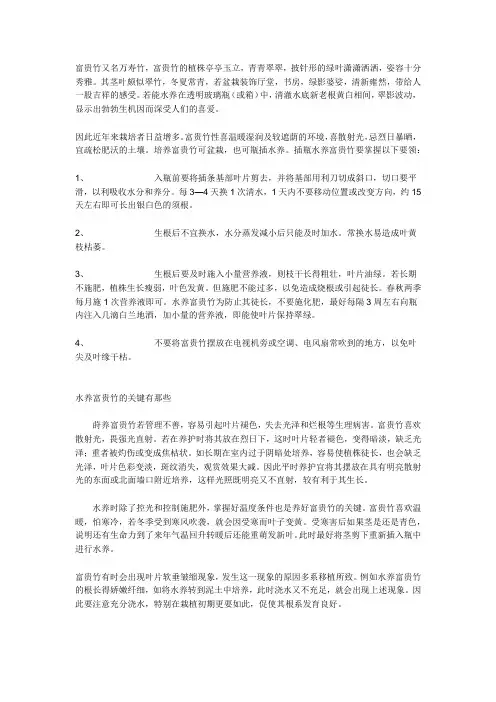 水养富贵竹栽培要领