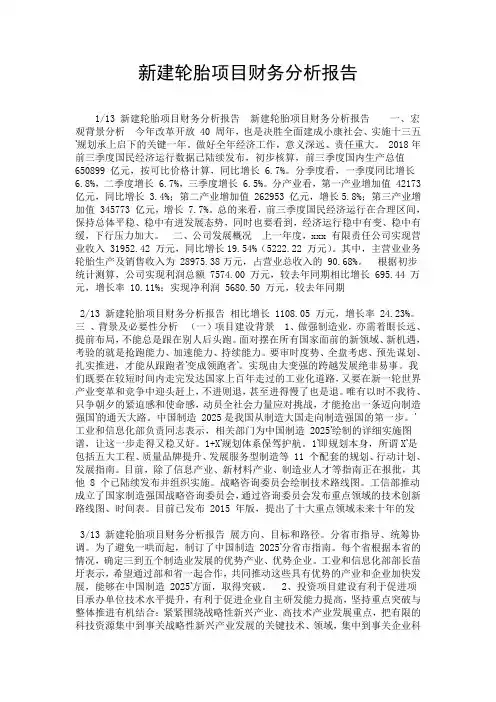 新建轮胎项目财务分析报告.doc