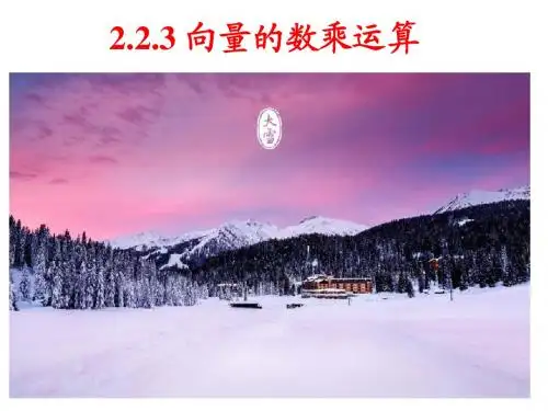 2.2.3 向量的数乘运算及其几何意义