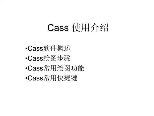 Cass 使用介绍