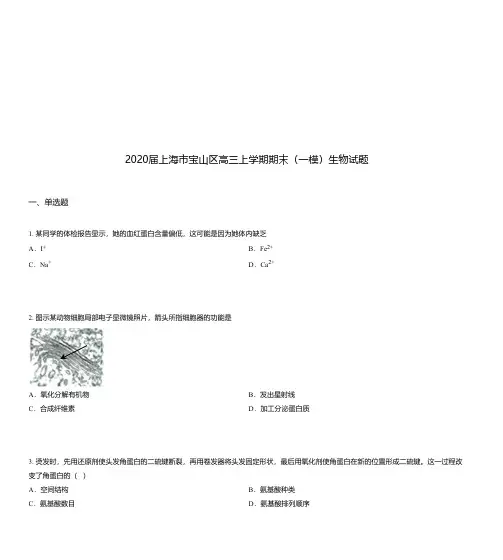 2020届上海市宝山区高三上学期期末(一模)生物试题