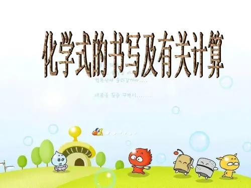 化学式的书写及有关计算
