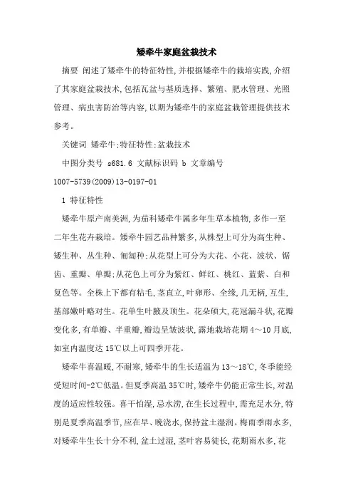 矮牵牛家庭盆栽技术