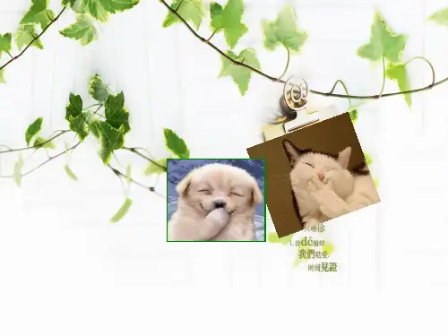 写有文采的议论文