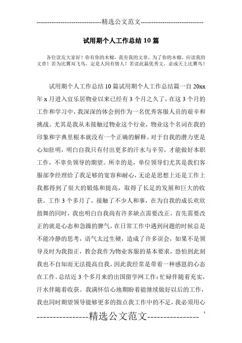 试用期个人工作总结10篇