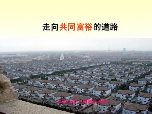 走向共同富裕的道路