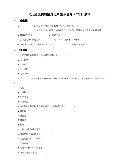 教科版 六年级下册科学试题-1.6 用显微镜观察身边的生命世界 (含答案)