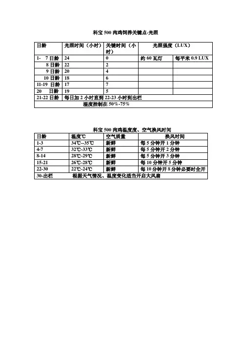 科宝500肉鸡饲养关键点