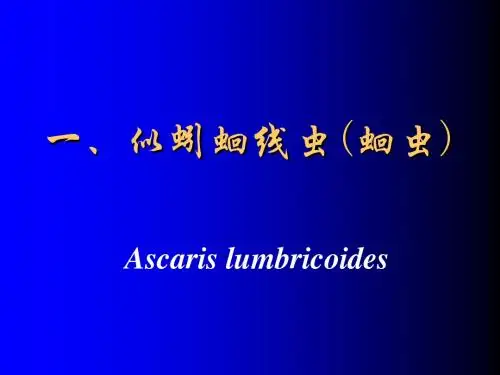 第10章1 蛔虫