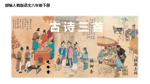 【部编版】语文六年级下册3《古诗三首》PPT课件