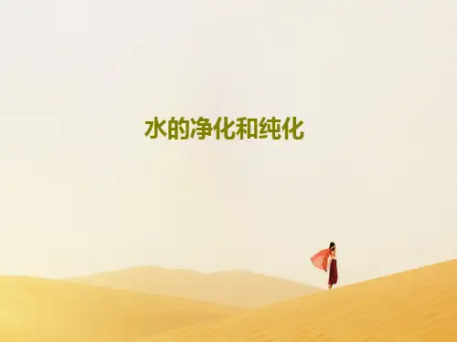 水的净化和纯化共23页文档