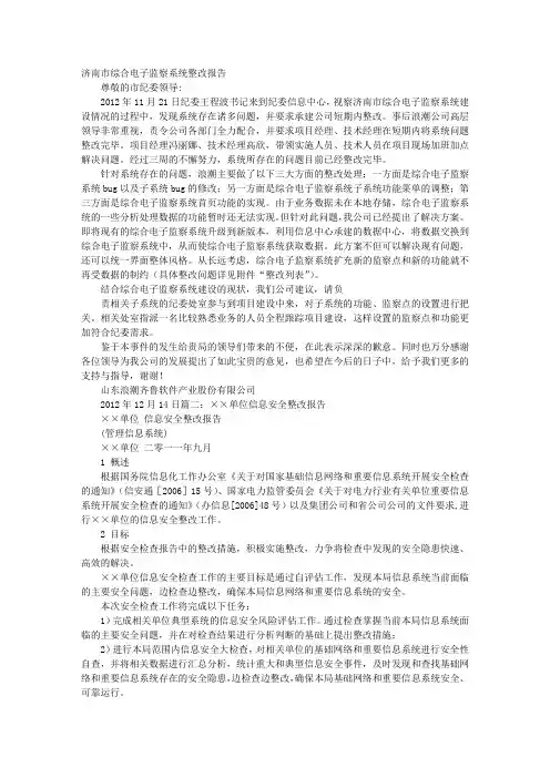 系统整改报告
