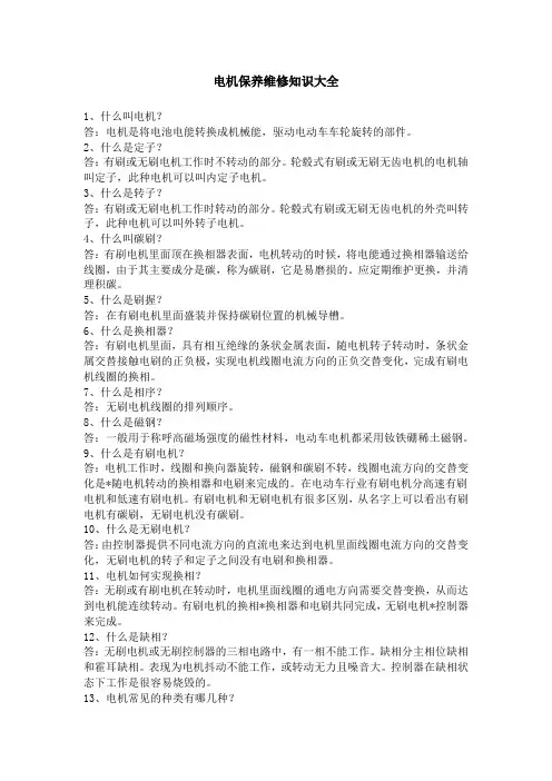 电机保养与维护