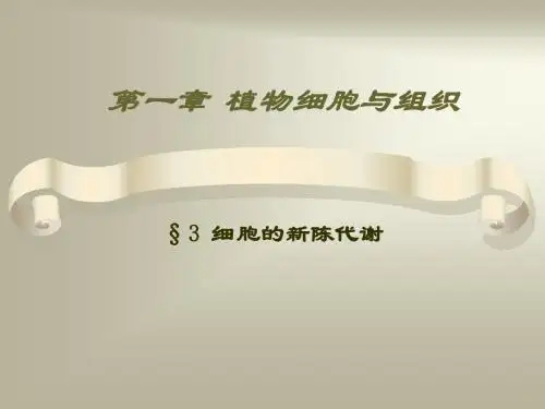 3 细胞的新陈代谢
