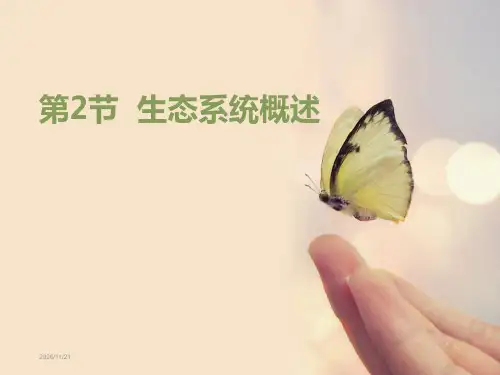 初中八年级下册生物《生态系统概述》PPT优质课件