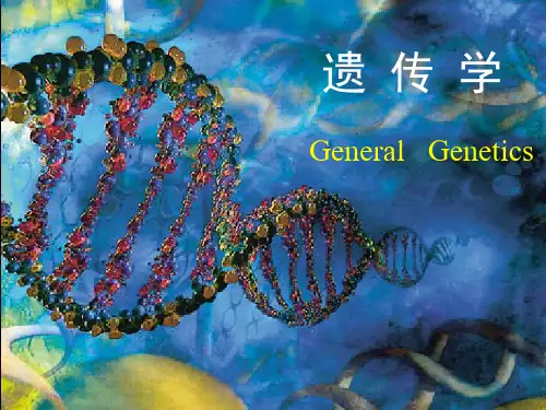 遗传学-2遗传的细胞基础