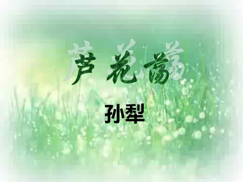八年级语文芦花荡 (48)
