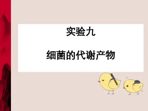 实验细菌代谢产物
