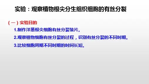 实验观察植物根尖分生组织细胞的有丝分裂