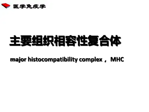 医学免疫学(第八版)MHC