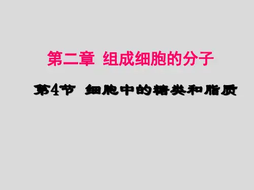 4.4糖类与脂质ppt