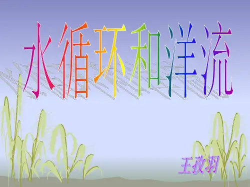 高一地理水循环和洋流讲解