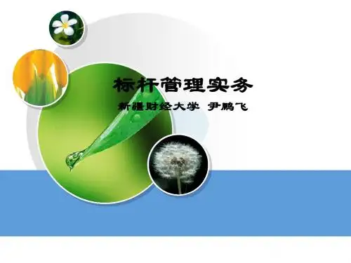 标杆管理实务