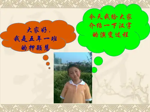 汉字的演变过程