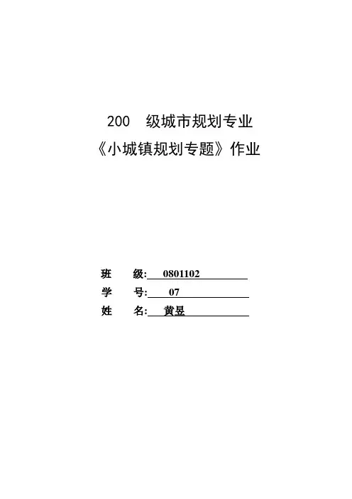 小城镇规划作业